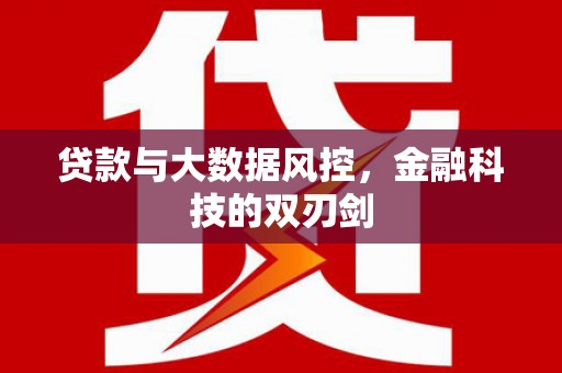横山贷款与大数据风控，金融科技的双刃剑