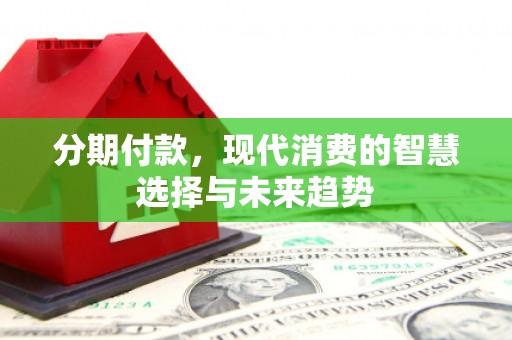 横山分期付款，现代消费的智慧选择与未来趋势