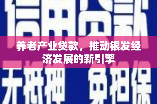 横山养老产业贷款，推动银发经济发展的新引擎