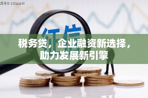 横山税务贷，企业融资新选择，助力发展新引擎