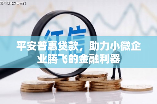 横山平安普惠贷款，助力小微企业腾飞的金融利器