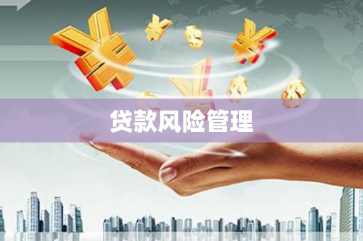 横山贷款风险管理