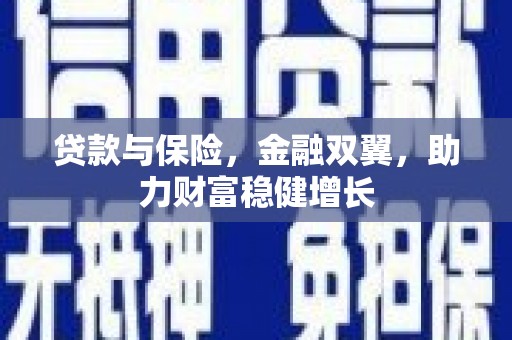 横山贷款与保险，金融双翼，助力财富稳健增长