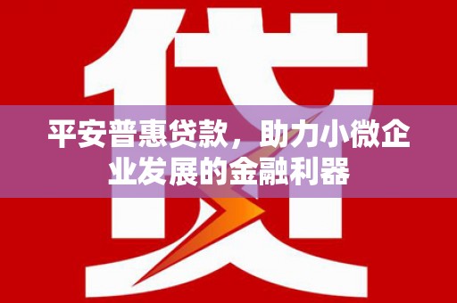 横山平安普惠贷款，助力小微企业发展的金融利器