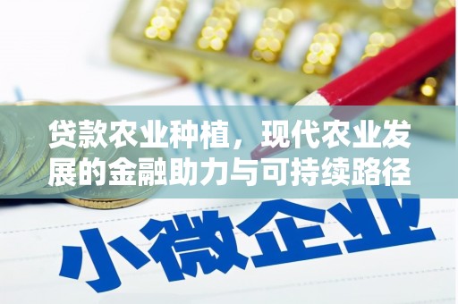 横山贷款农业种植，现代农业发展的金融助力与可持续路径