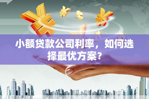 横山小额贷款公司利率，如何选择最优方案？