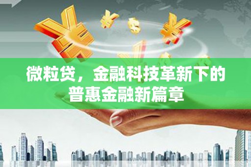 横山微粒贷，金融科技革新下的普惠金融新篇章