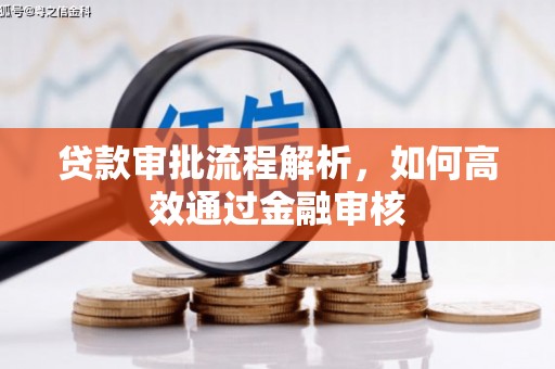 横山贷款审批流程解析，如何高效通过金融审核