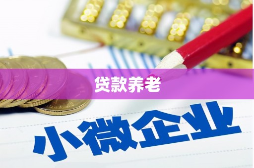 横山贷款养老