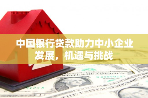 横山中国银行贷款助力中小企业发展，机遇与挑战