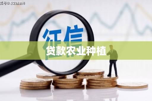 横山贷款农业种植