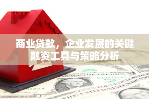 横山商业贷款，企业发展的关键融资工具与策略分析
