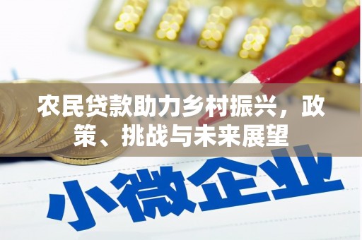 横山农民贷款助力乡村振兴，政策、挑战与未来展望