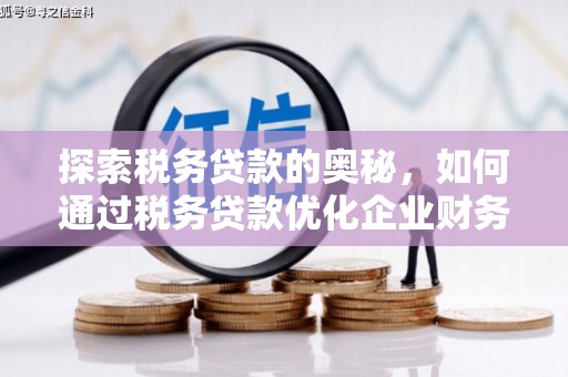 横山探索税务贷款的奥秘，如何通过税务贷款优化企业财务