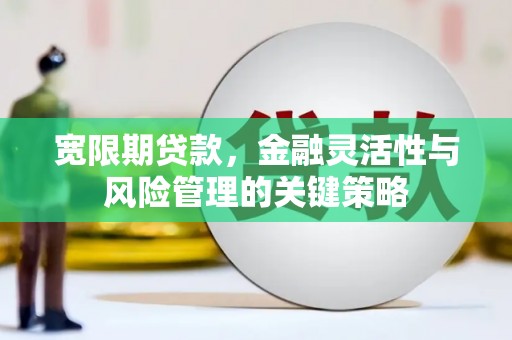横山宽限期贷款，金融灵活性与风险管理的关键策略