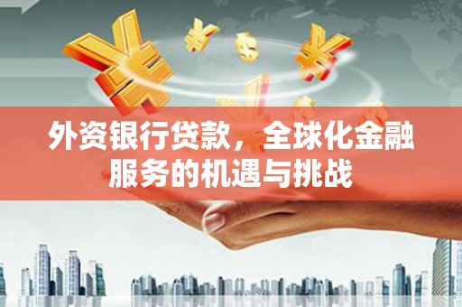 横山外资银行贷款，全球化金融服务的机遇与挑战