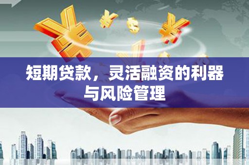 横山短期贷款，灵活融资的利器与风险管理