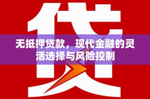 横山无抵押贷款，现代金融的灵活选择与风险控制