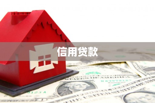 横山信用贷款