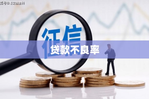 横山贷款不良率