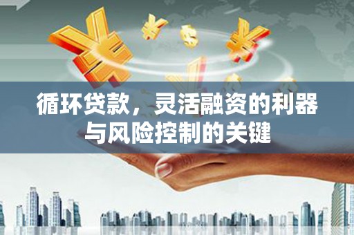 横山循环贷款，灵活融资的利器与风险控制的关键