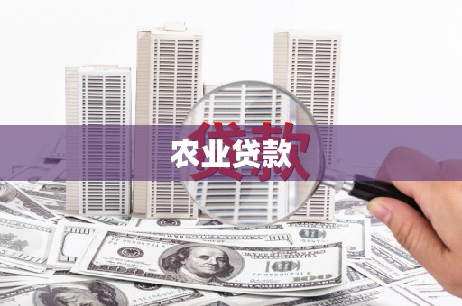 横山农业贷款