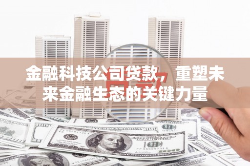 横山金融科技公司贷款，重塑未来金融生态的关键力量