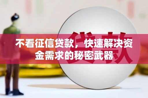 横山不看征信贷款，快速解决资金需求的秘密武器