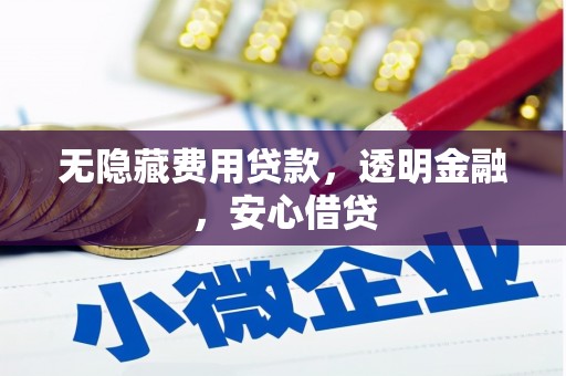 横山无隐藏费用贷款，透明金融，安心借贷