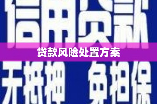 横山贷款风险处置方案