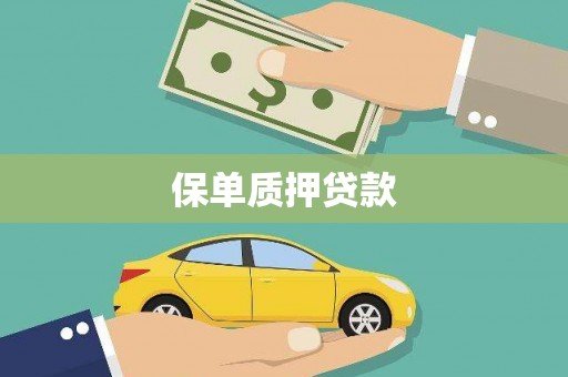横山保单质押贷款