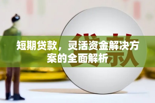 横山短期贷款，灵活资金解决方案的全面解析