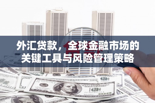 横山外汇贷款，全球金融市场的关键工具与风险管理策略