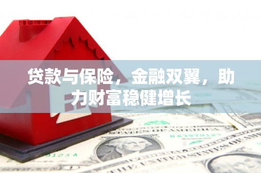 横山贷款与保险，金融双翼，助力财富稳健增长