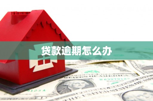 横山贷款逾期怎么办
