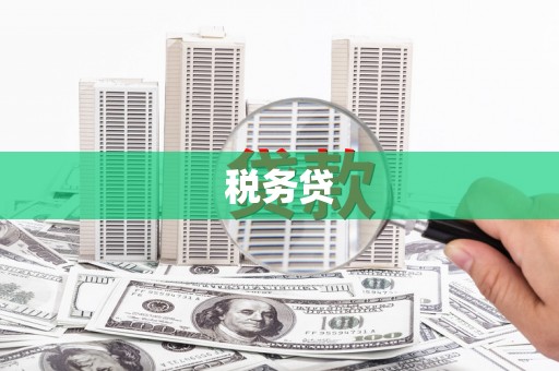 横山税务贷