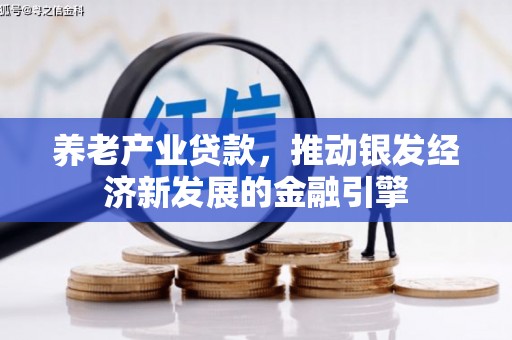 横山养老产业贷款，推动银发经济新发展的金融引擎