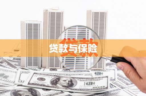 横山贷款与保险