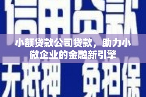 横山小额贷款公司贷款，助力小微企业的金融新引擎