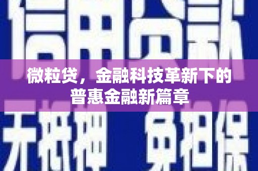 横山微粒贷，金融科技革新下的普惠金融新篇章