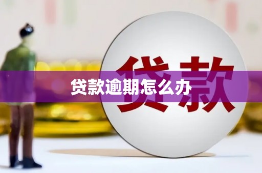 横山贷款逾期怎么办