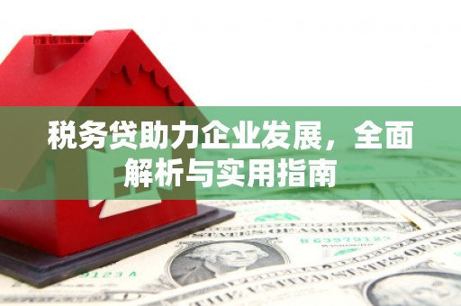 横山税务贷助力企业发展，全面解析与实用指南