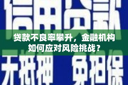 横山贷款不良率攀升，金融机构如何应对风险挑战？