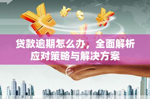 横山贷款逾期怎么办，全面解析应对策略与解决方案