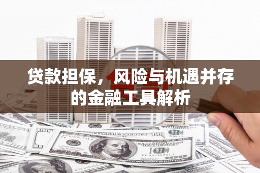 横山贷款担保，风险与机遇并存的金融工具解析