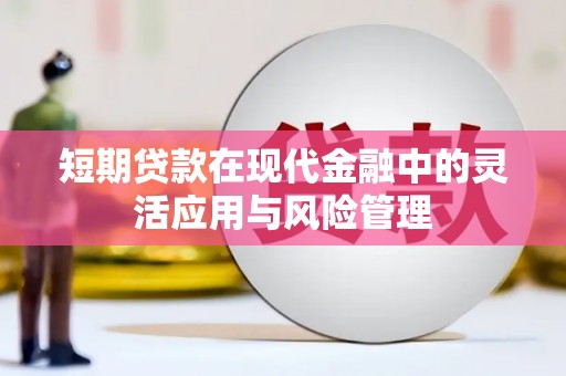 横山短期贷款在现代金融中的灵活应用与风险管理