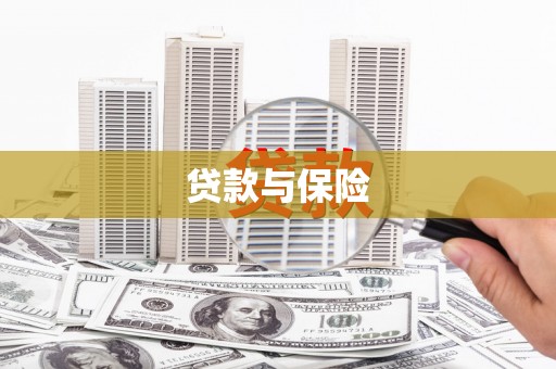 横山贷款与保险