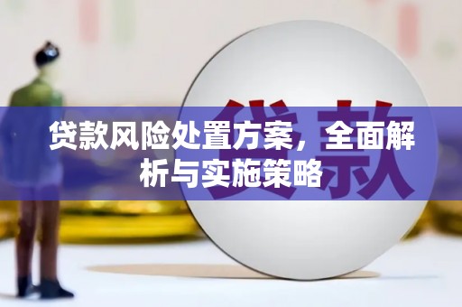 横山贷款风险处置方案，全面解析与实施策略