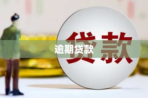 横山逾期贷款