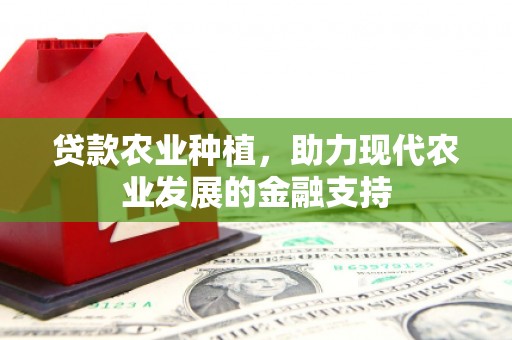 横山贷款农业种植，助力现代农业发展的金融支持